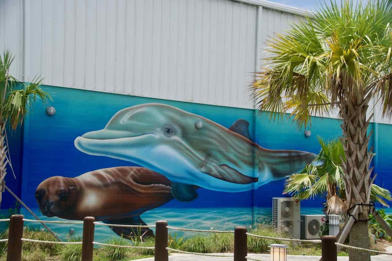 Ocean Adventures Marine Park