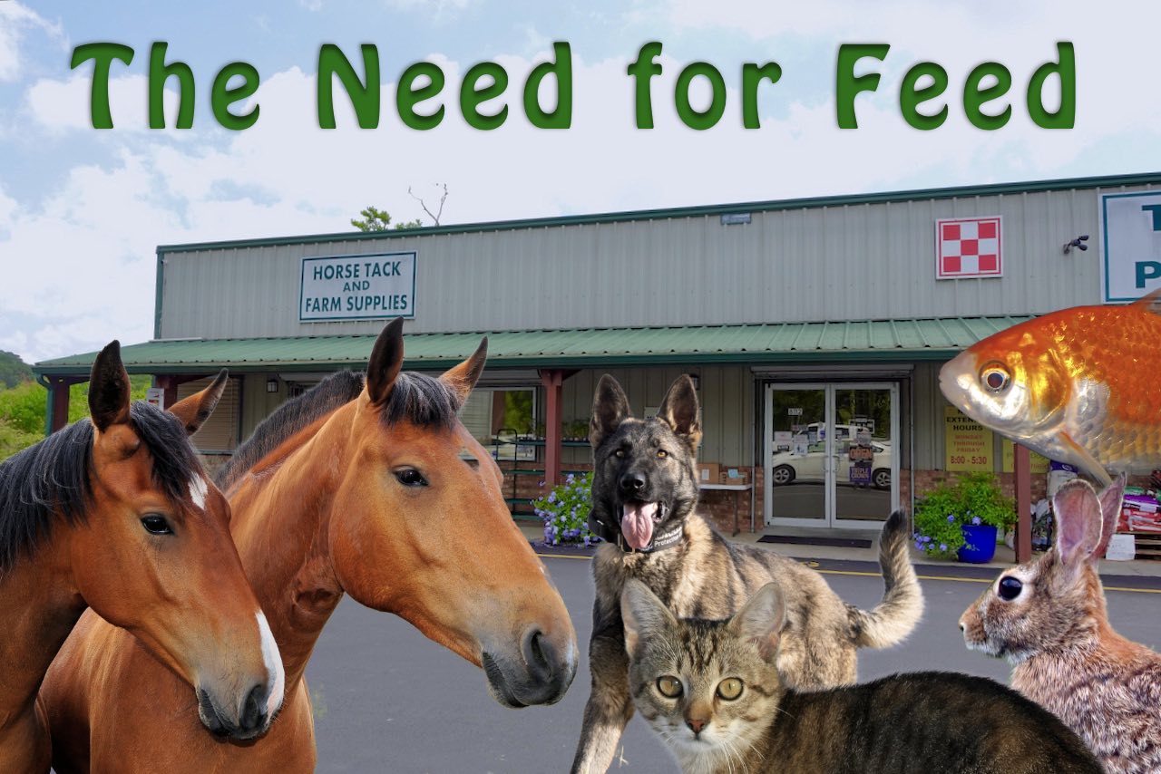 T&N Feed and Pet Supplies